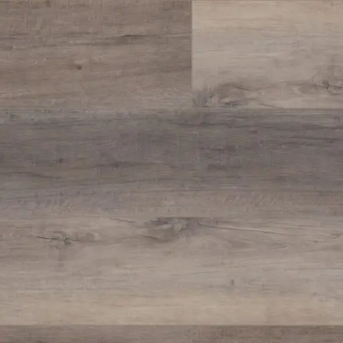 Berkshire Elm