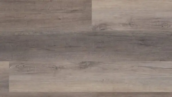 Berkshire Elm