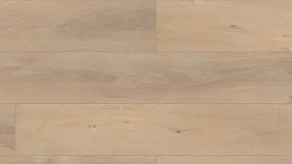 Ravenswood Oak Pro Plus HD 9"