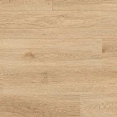 springfield oak