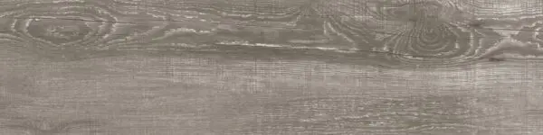 Beachwood - Nasser