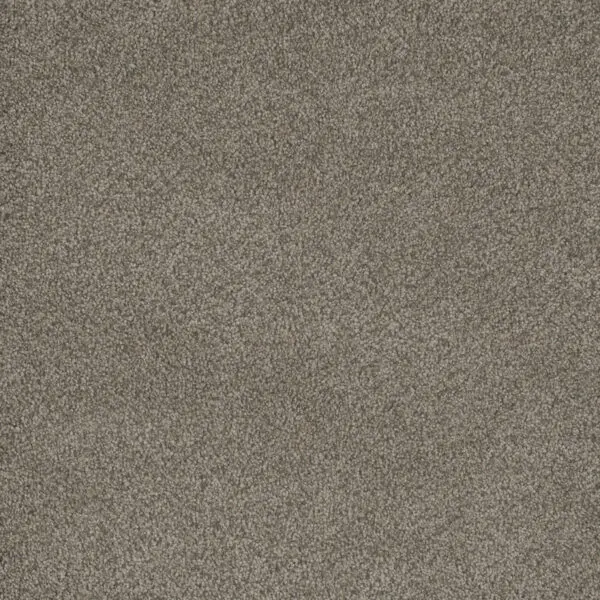 Engineered Floors: Dream Weaver 6200 - Monte Carlo I