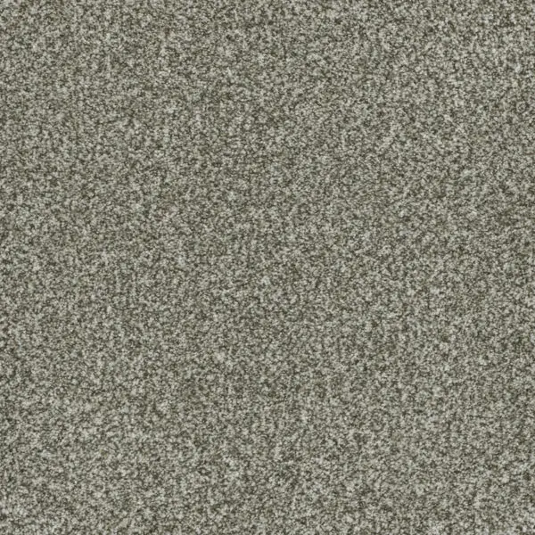 6260 Brazen II