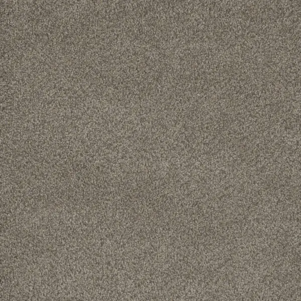 Engineered Floors: Dream Weaver 8200 - Monte Carlo III