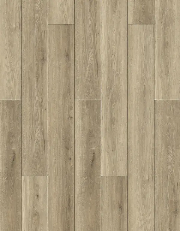 Lions Foor Bambino Dolce 7x48 LVP