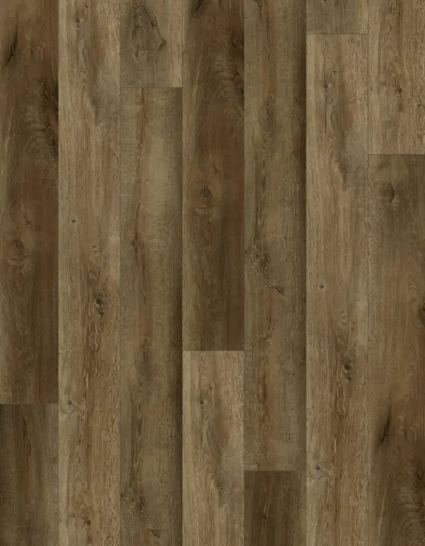 Lions Floor -Bambino Ganache LVP