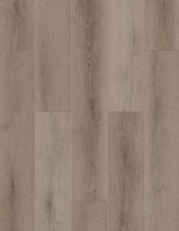 Lions Floor LVP- Bambino - Coffee Feather