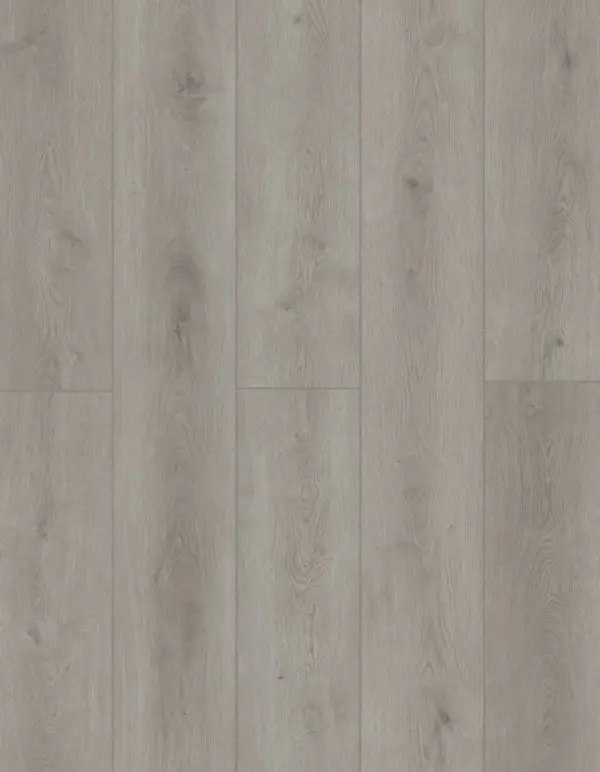 Lions Floor LVP- Indoor Delight - Slate Ballad 9x72