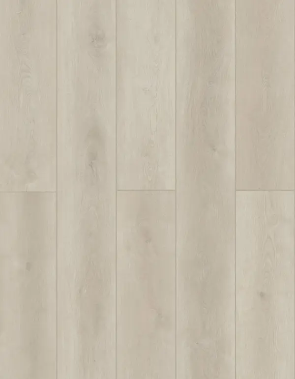 Lions Floor LVP- Indoor Delight - Ashen Land 9x72