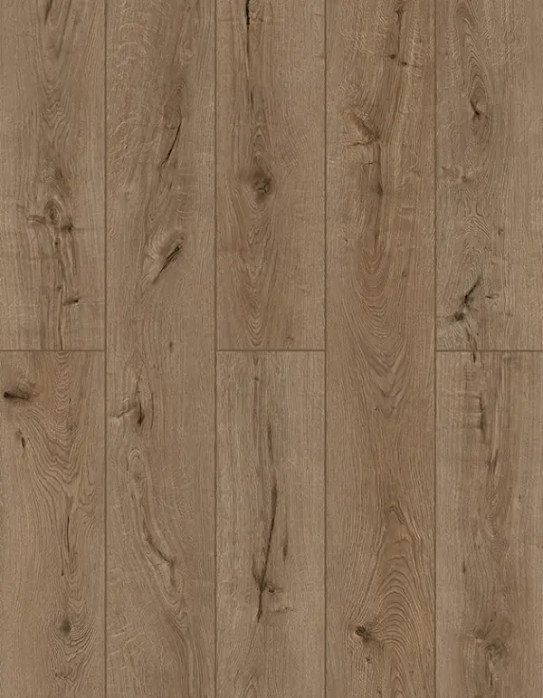 Lions Floor LVP- Lonestar Spirit XL - Forgotten Bark