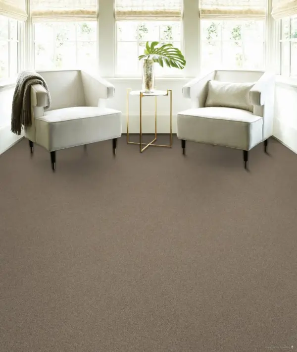 Shaw Floors: Pet Perfect+ 5E795 - Affirmation 2 - Image 2