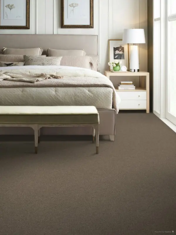 Shaw Floors: Pet Perfect+ 5E795 - Affirmation 2 - Image 3