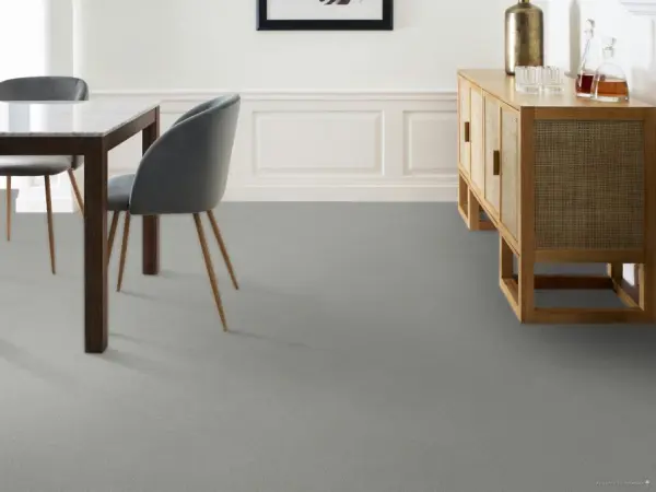 Shaw Floors: Pet Perfect+ 5E795 - Affirmation 2