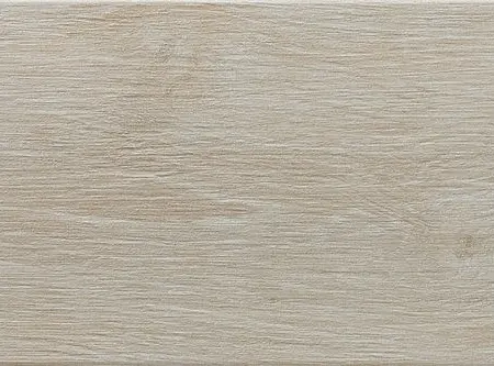 Rainforest Ivory