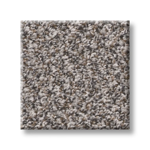 5E679 Shaw Carpet: Mineral