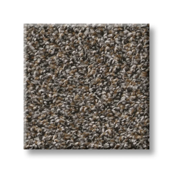 5E679 Shaw Carpet: Rock Garden