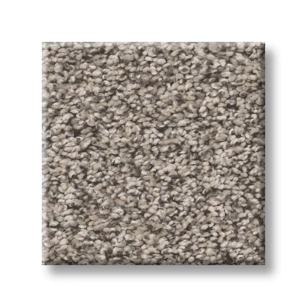 5E679 Shaw Carpet: Vapor