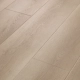 Shaw Aspire Natural Bevel WPC Costal Drift